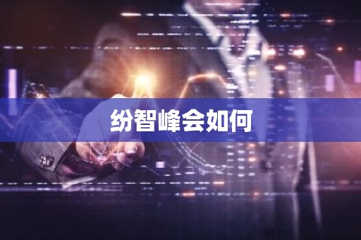 纷智峰会如何