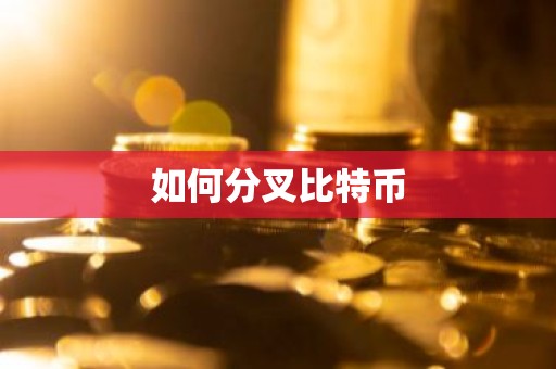 如何分叉比特币