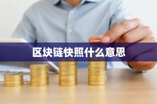 区块链快照什么意思
