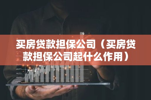 买房贷款担保公司（买房贷款担保公司起什么作用）