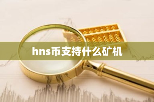 hns币支持什么矿机