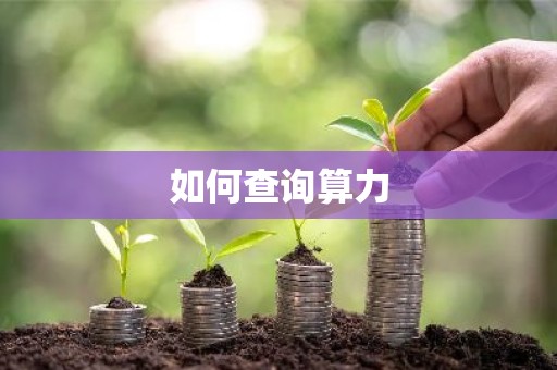 如何查询算力