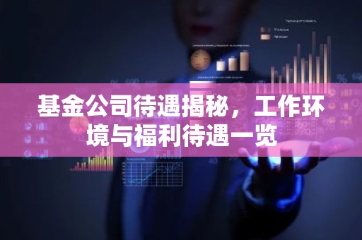 基金公司待遇揭秘，工作环境与福利待遇一览