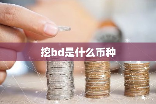 挖bd是什么币种