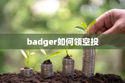 badger如何领空投