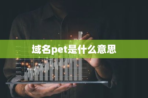 域名pet是什么意思