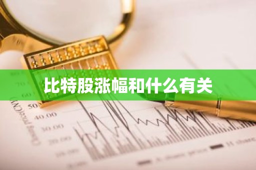 比特股涨幅和什么有关