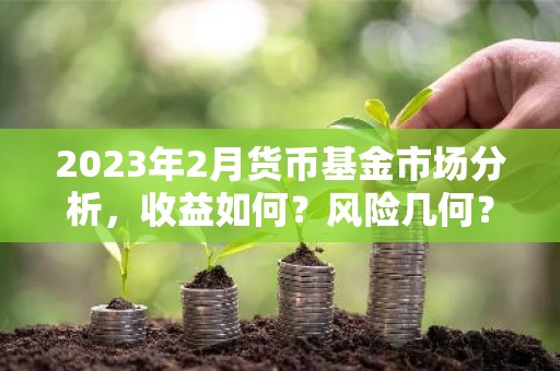 2023年2月货币基金市场分析，收益如何？风险几何？