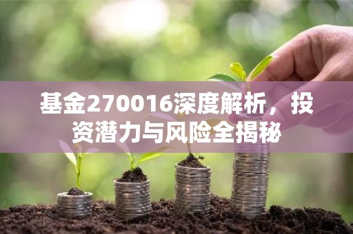 基金270016深度解析，投资潜力与风险全揭秘