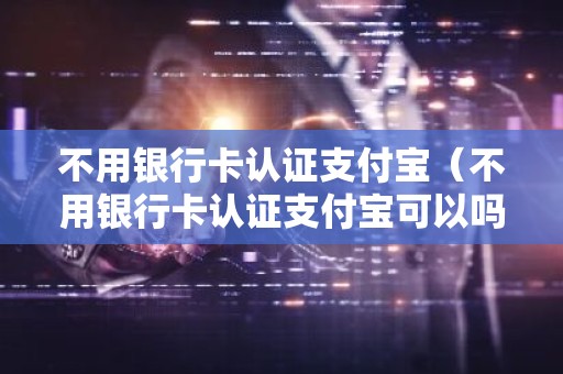 不用银行卡认证支付宝（不用银行卡认证支付宝可以吗）