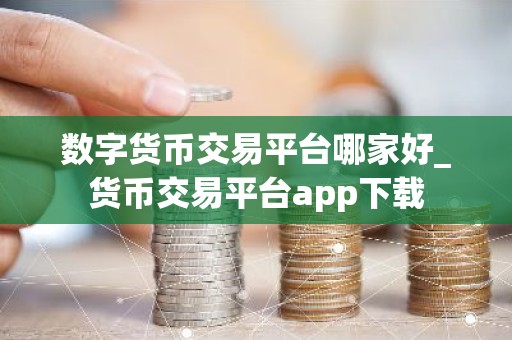数字货币交易平台哪家好_货币交易平台app下载