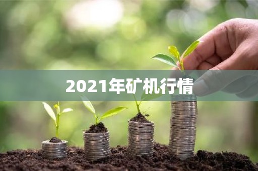 2021年矿机行情
