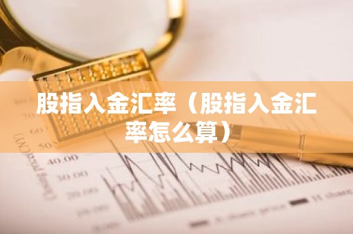 股指入金汇率（股指入金汇率怎么算）
