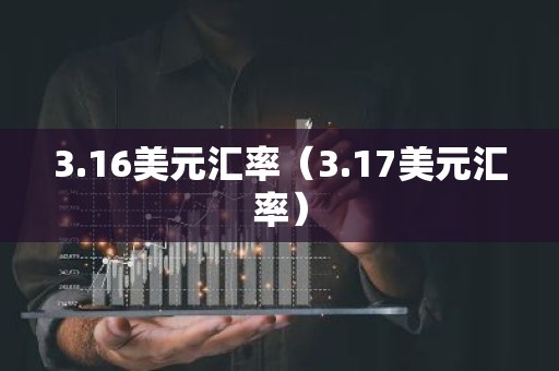 3.16美元汇率（3.17美元汇率）