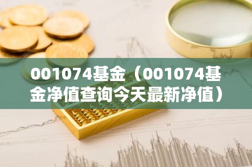 001074基金（001074基金净值查询今天最新净值）