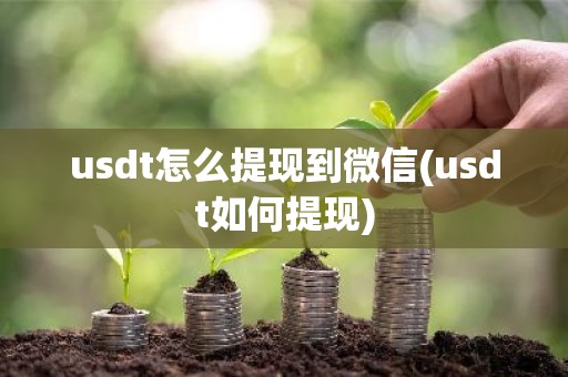 usdt怎么提现到微信(usdt如何提现)