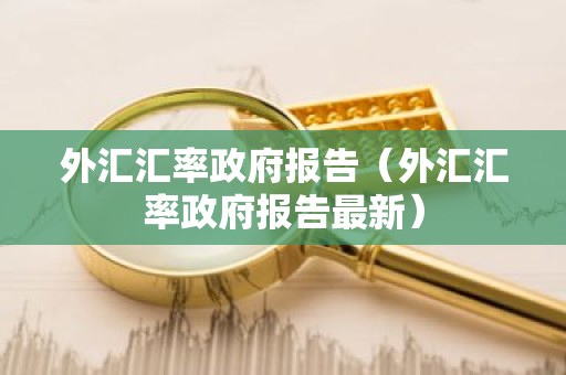 外汇汇率政府报告（外汇汇率政府报告最新）