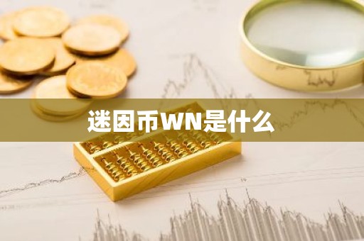 迷因币WN是什么