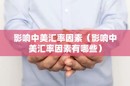 影响中美汇率因素（影响中美汇率因素有哪些）