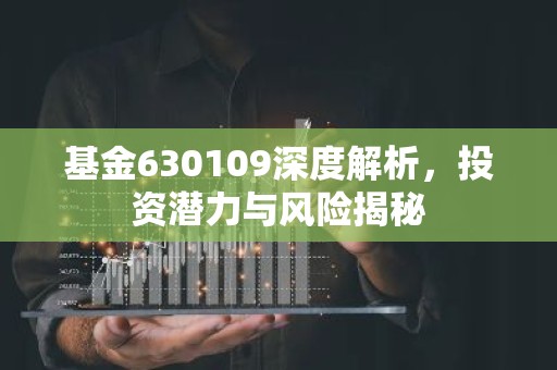 基金630109深度解析，投资潜力与风险揭秘