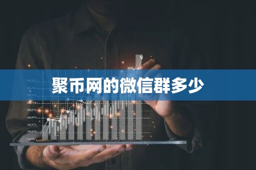 聚币网的微信群多少