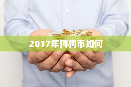 2017年狗狗币如何