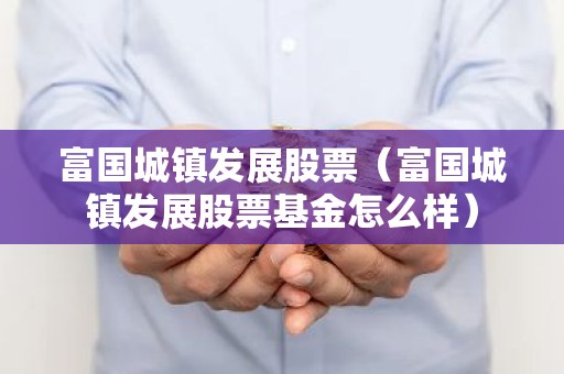 富国城镇发展股票（富国城镇发展股票基金怎么样）