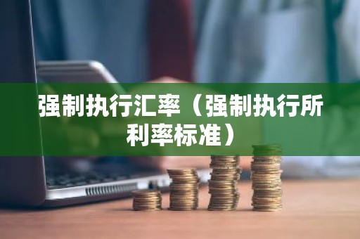 强制执行汇率（强制执行所利率标准）