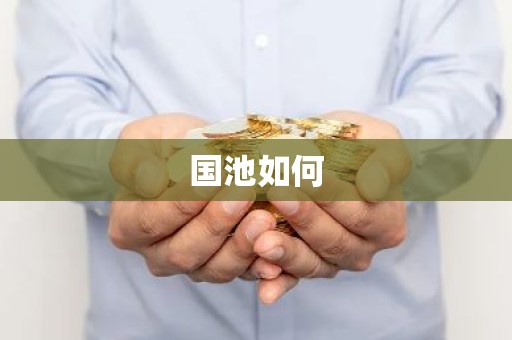 国池如何