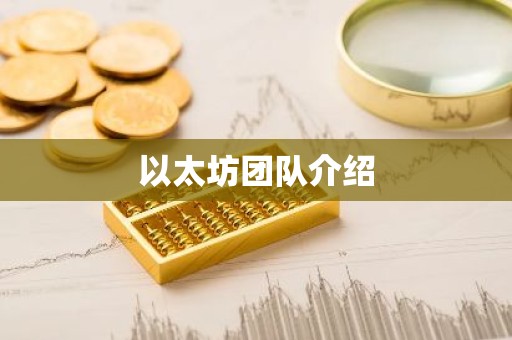 以太坊团队介绍