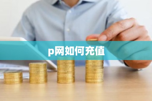 p网如何充值