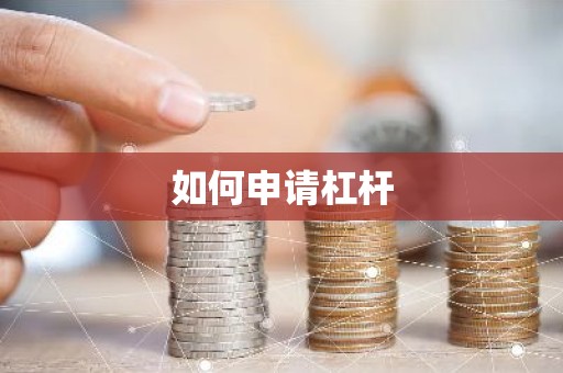 如何申请杠杆