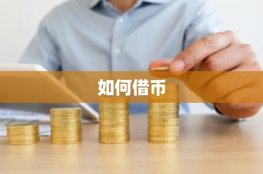 如何借币