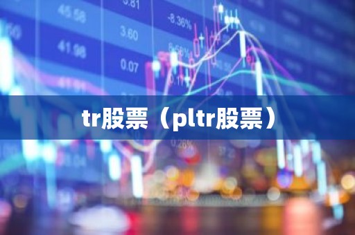 tr股票（pltr股票）