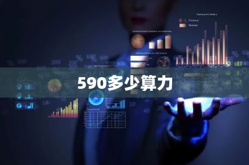 590多少算力