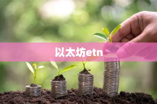 以太坊etn
