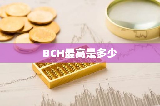 BCH最高是多少