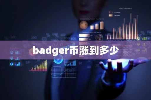 badger币涨到多少