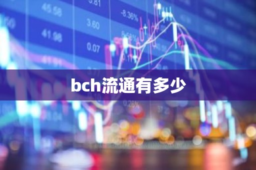 bch流通有多少
