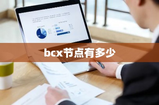 bcx节点有多少