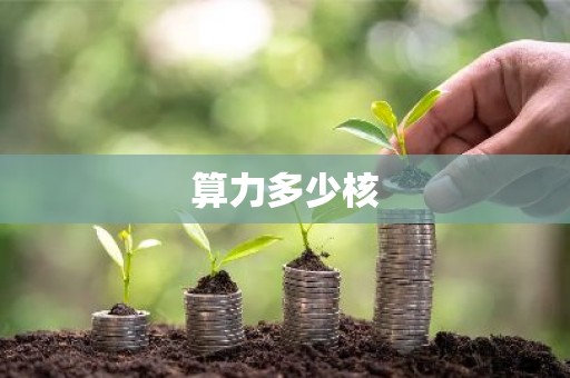 算力多少核