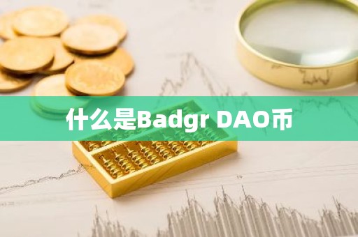 什么是Badgr DAO币