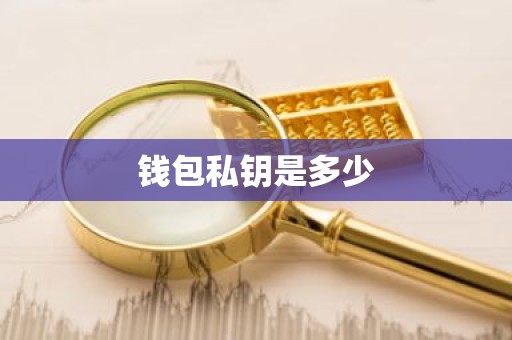 钱包私钥是多少