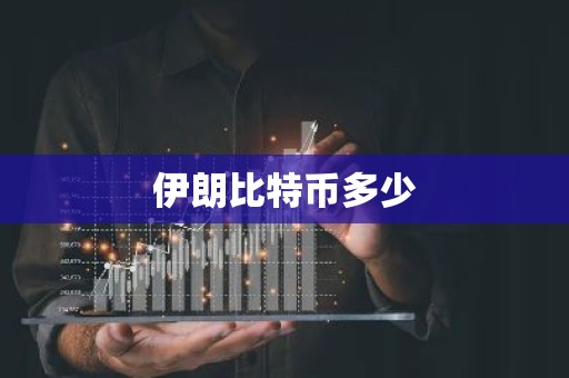 伊朗比特币多少