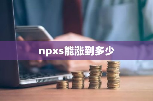 npxs能涨到多少