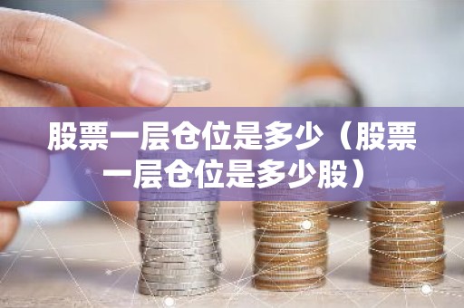 股票一层仓位是多少（股票一层仓位是多少股）