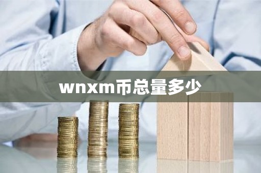 wnxm币总量多少