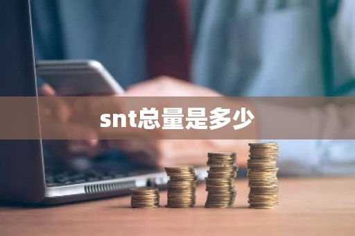 snt总量是多少