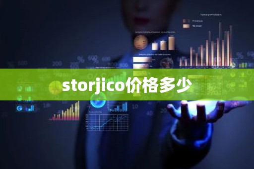 storjico价格多少