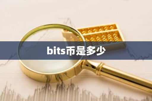bits币是多少